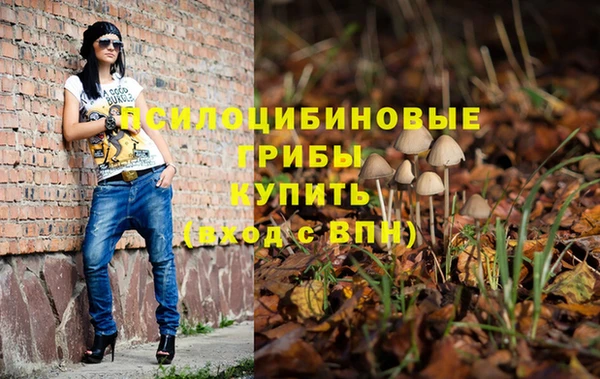 бутират Алексин